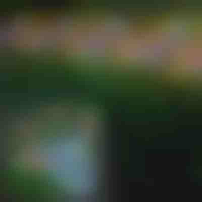 Solární venkovní svítidlo ve tvaru motýlů | FLUTIX