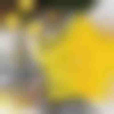 Vykrajovátka ve tvaru hvězdy (6ks) | STARCUTS