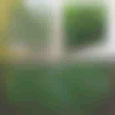 Dekorativní a praktický plot pro terasu a zahradu | GREENFENCE