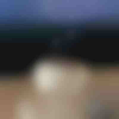 Zklidňující aroma difuzér | MEDUSAMIST