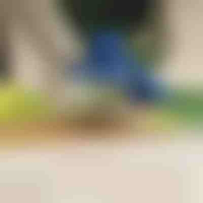 Elektrická škrabka na ovoce a zeleninu | PEELMATIC